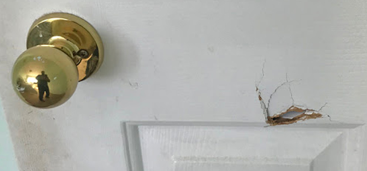 interior door hole repair Fruitridge Pocket