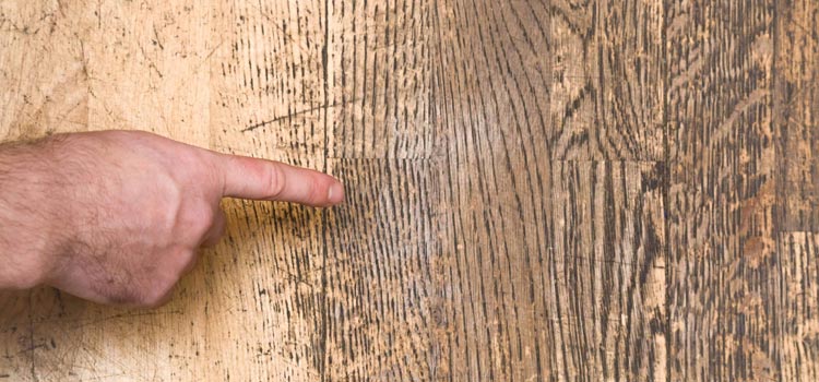 Wood Door Scratch Repair in Fruitridge Pocket